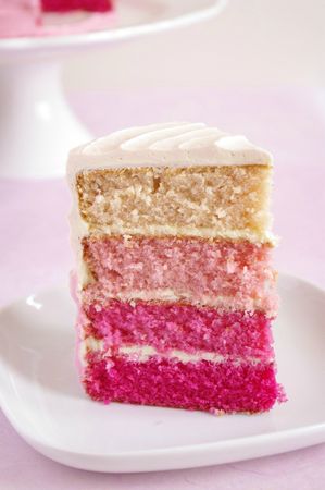 Pink Ombre Cake I Love Cakes